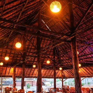 Phu Phi Phi Don